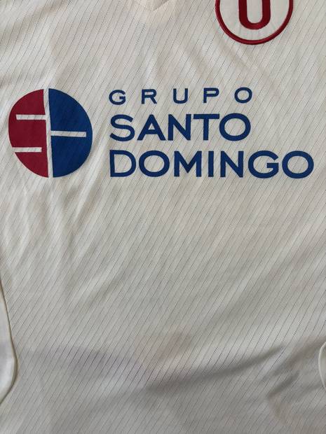 Grupo Santo Domingo